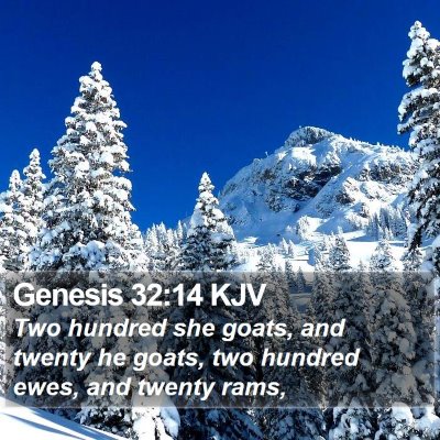 Genesis 32:14 KJV Bible Verse Image