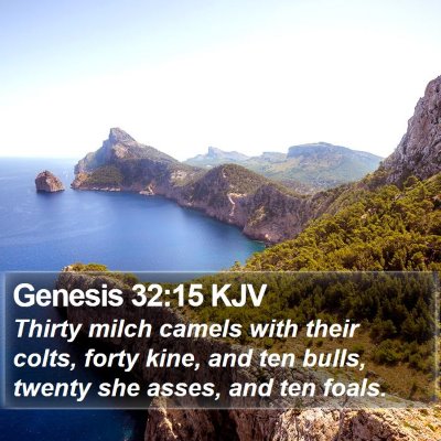 Genesis 32:15 KJV Bible Verse Image