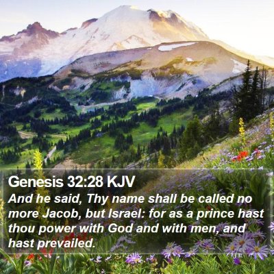 Genesis 32:28 KJV Bible Verse Image