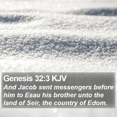 Genesis 32:3 KJV Bible Verse Image