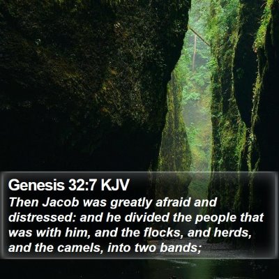 Genesis 32:7 KJV Bible Verse Image