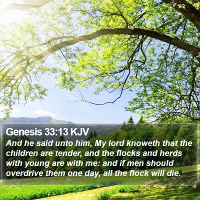 Genesis 33:13 KJV Bible Verse Image