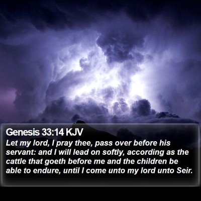 Genesis 33:14 KJV Bible Verse Image
