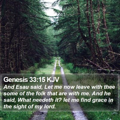 Genesis 33:15 KJV Bible Verse Image