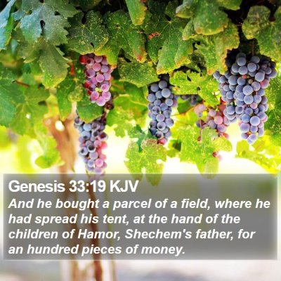 Genesis 33:19 KJV Bible Verse Image
