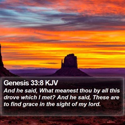 Genesis 33:8 KJV Bible Verse Image