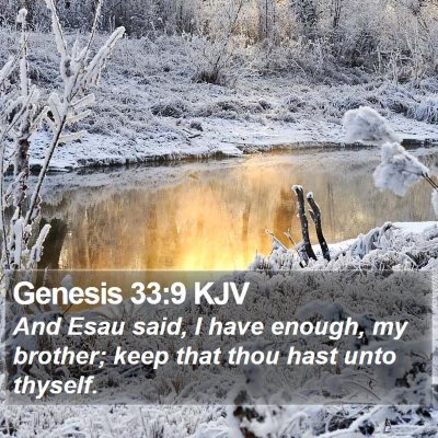 Genesis 33:9 KJV Bible Verse Image