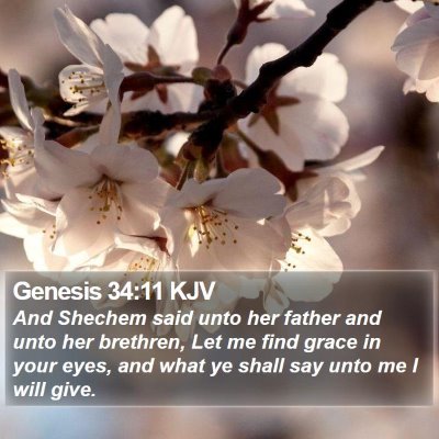 Genesis 34:11 KJV Bible Verse Image
