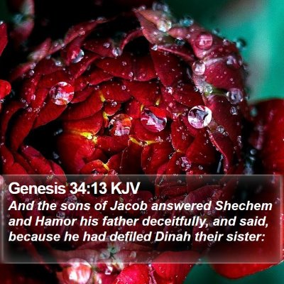Genesis 34:13 KJV Bible Verse Image