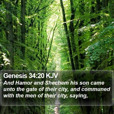 Genesis 34:20 KJV Bible Verse Image
