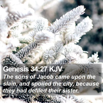 Genesis 34:27 KJV Bible Verse Image