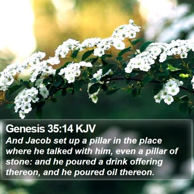 Genesis 35:14 KJV Bible Verse Image