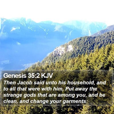 Genesis 35:2 KJV Bible Verse Image