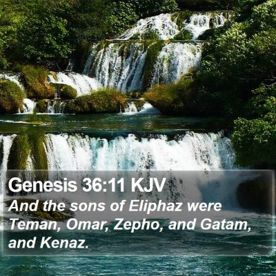 Genesis 36:11 KJV Bible Verse Image