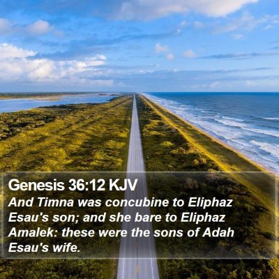Genesis 36:12 KJV Bible Verse Image