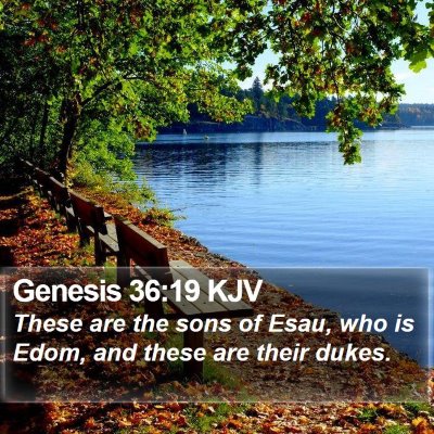 Genesis 36:19 KJV Bible Verse Image