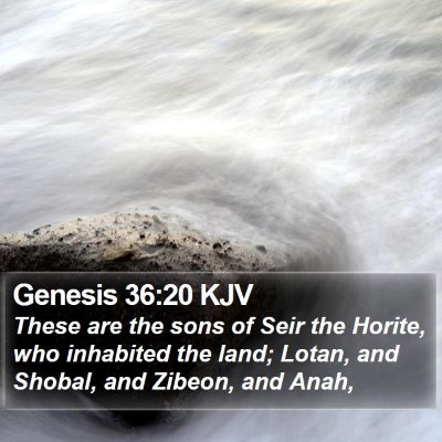 Genesis 36:20 KJV Bible Verse Image