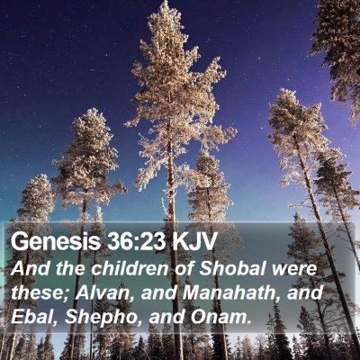 Genesis 36:23 KJV Bible Verse Image