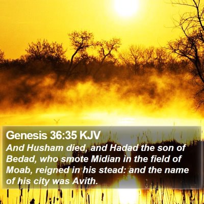 Genesis 36:35 KJV Bible Verse Image