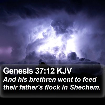 Genesis 37:12 KJV Bible Verse Image