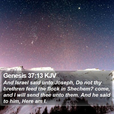Genesis 37:13 KJV Bible Verse Image