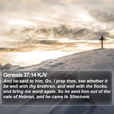 Genesis 37:14 KJV Bible Verse Image