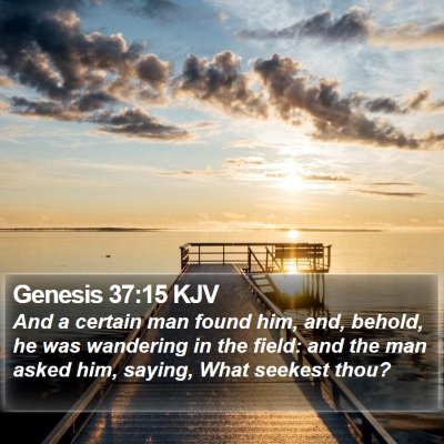 Genesis 37:15 KJV Bible Verse Image
