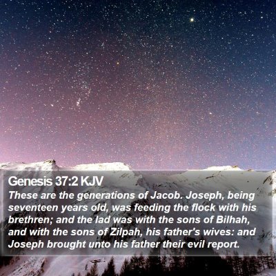 Genesis 37:2 KJV Bible Verse Image