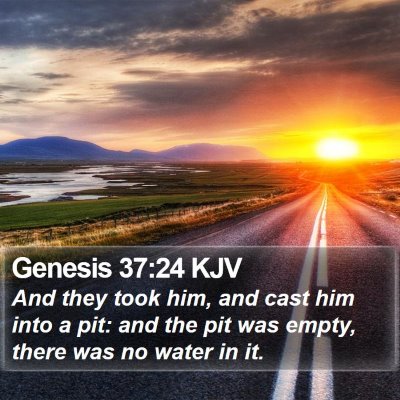 Genesis 37:24 KJV Bible Verse Image