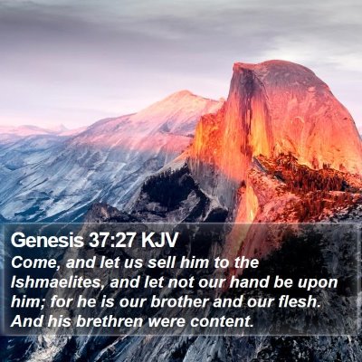 Genesis 37:27 KJV Bible Verse Image
