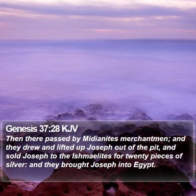 Genesis 37:28 KJV Bible Verse Image