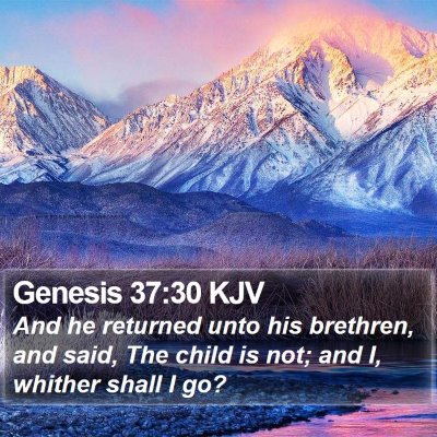 Genesis 37:30 KJV Bible Verse Image