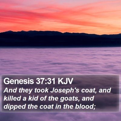 Genesis 37:31 KJV Bible Verse Image