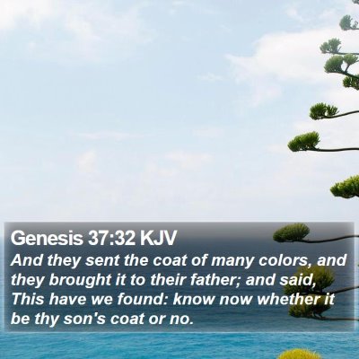 Genesis 37:32 KJV Bible Verse Image