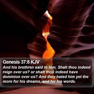 Genesis 37:8 KJV Bible Verse Image