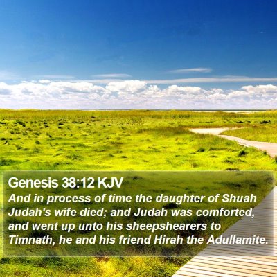 Genesis 38:12 KJV Bible Verse Image