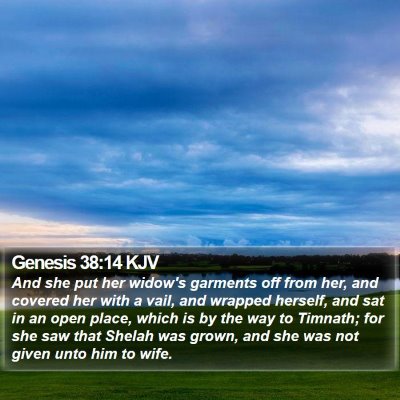 Genesis 38:14 KJV Bible Verse Image