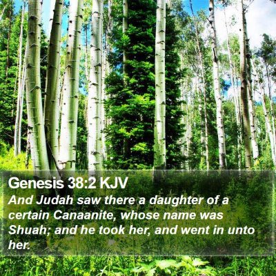 Genesis 38:2 KJV Bible Verse Image