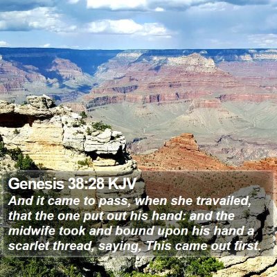 Genesis 38:28 KJV Bible Verse Image