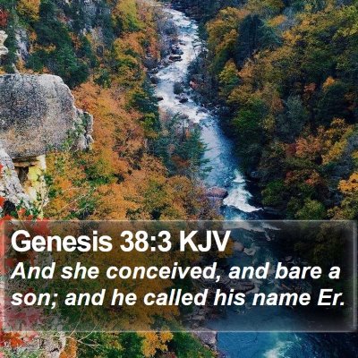 Genesis 38:3 KJV Bible Verse Image