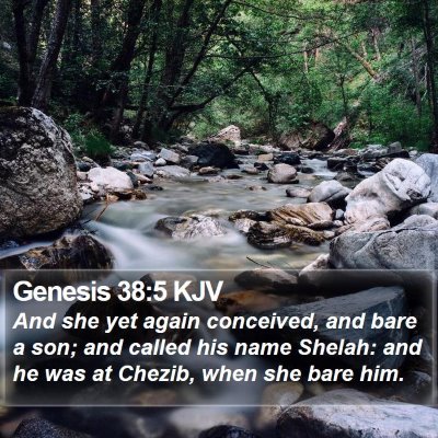 Genesis 38:5 KJV Bible Verse Image