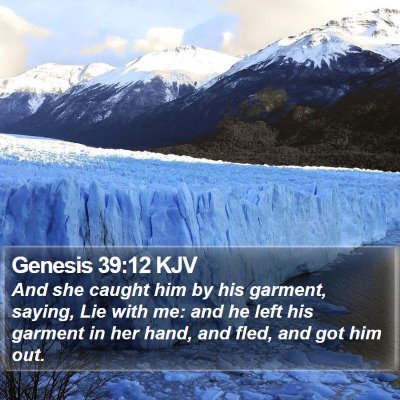 Genesis 39:12 KJV Bible Verse Image