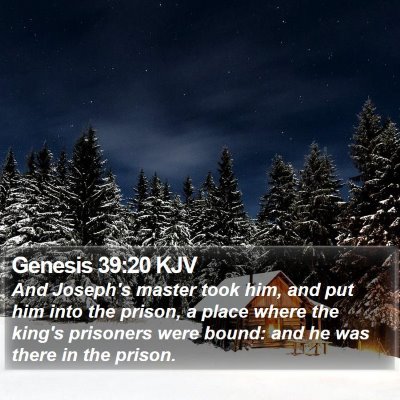 Genesis 39:20 KJV Bible Verse Image