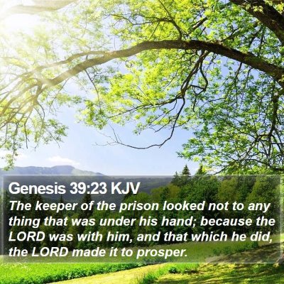Genesis 39:23 KJV Bible Verse Image