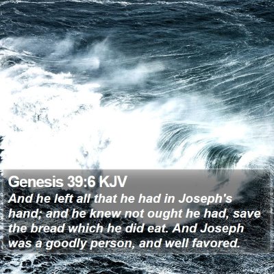 Genesis 39:6 KJV Bible Verse Image