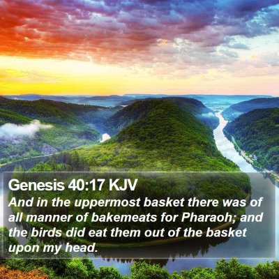 Genesis 40:17 KJV Bible Verse Image