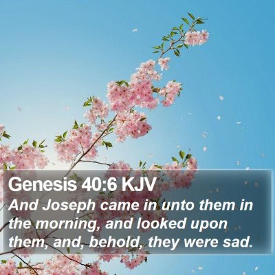 Genesis 40:6 KJV Bible Verse Image