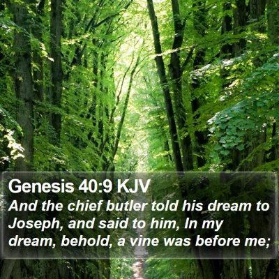 Genesis 40:9 KJV Bible Verse Image