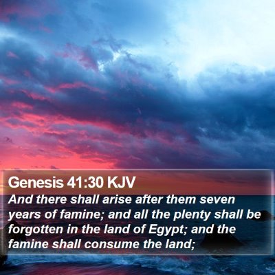 Genesis 41:30 KJV Bible Verse Image