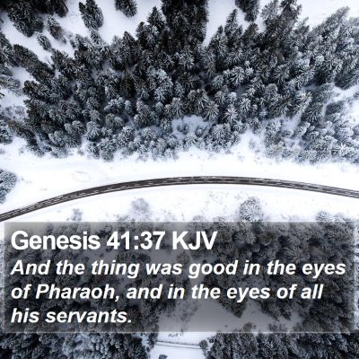 Genesis 41:37 KJV Bible Verse Image